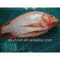 Gefrorene rote tilapia